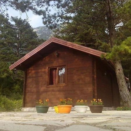 Iliria Tiny House Llogora Orikum Buitenkant foto