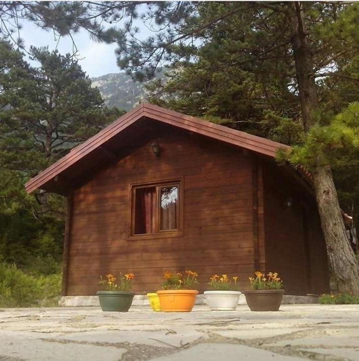 Iliria Tiny House Llogora Orikum Buitenkant foto