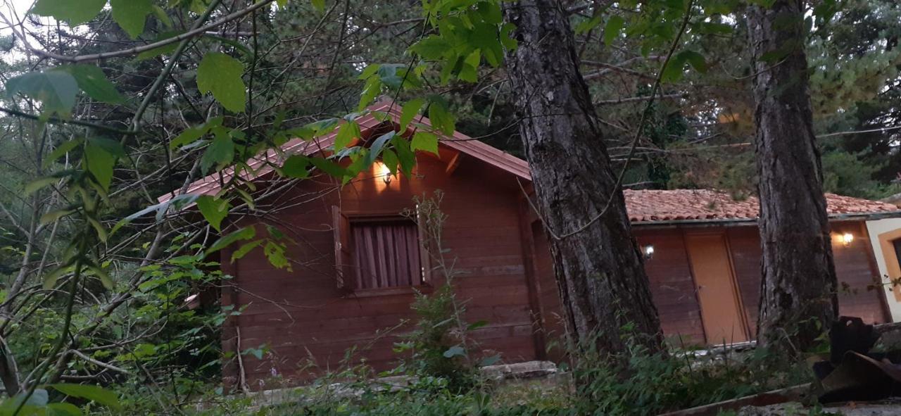 Iliria Tiny House Llogora Orikum Buitenkant foto